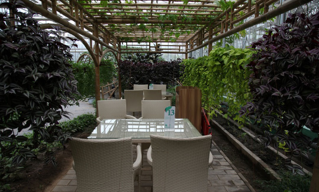 秦皇岛康柏宇品牌文案撰写案例